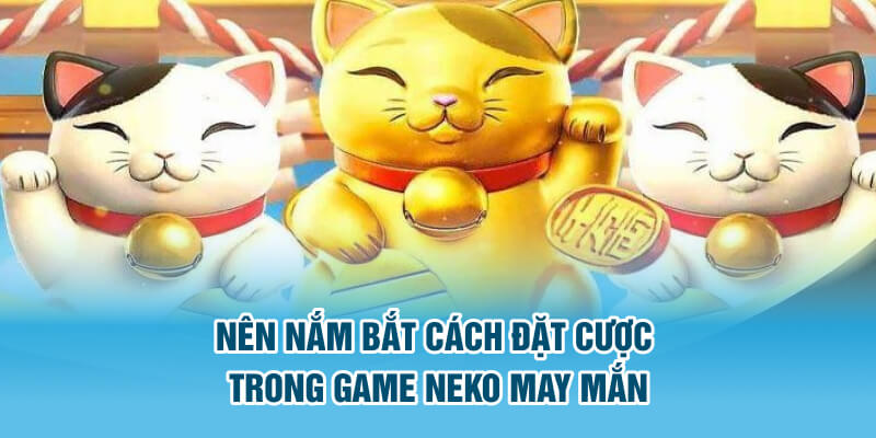 Neko may mắn